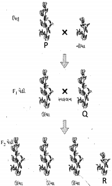 Question diagram