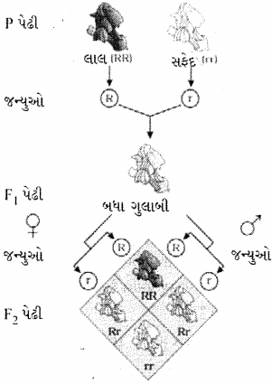 Question diagram