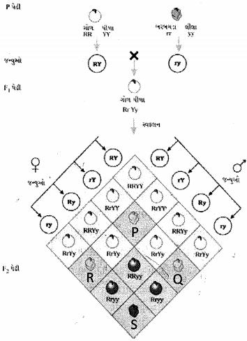 Question diagram