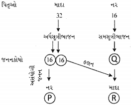 Question diagram