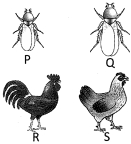 Question diagram