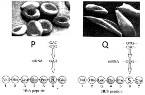 Question diagram