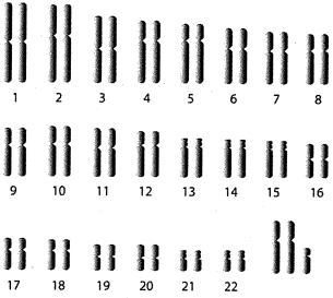 Question diagram