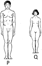 Question diagram