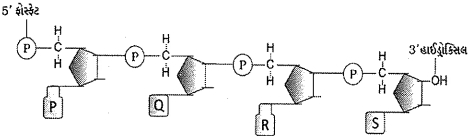 Question diagram