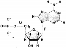 Question diagram