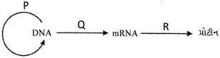 Question diagram