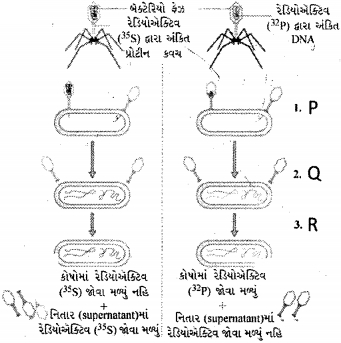 Question diagram
