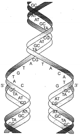 Question diagram