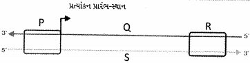 Question diagram