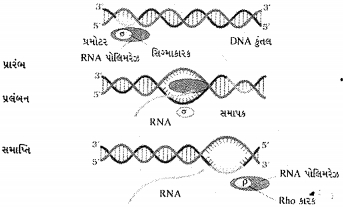 Question diagram