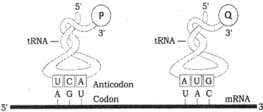 Question diagram