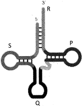 Question diagram