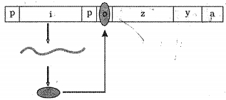 Question diagram