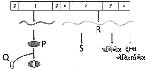 Question diagram