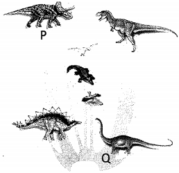 Question diagram