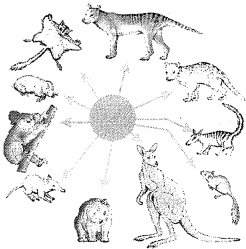 Question diagram