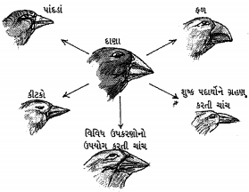 Question diagram