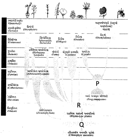 Question diagram