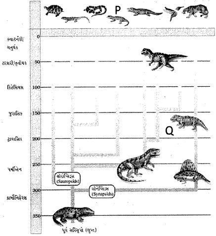 Question diagram