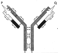 Question diagram