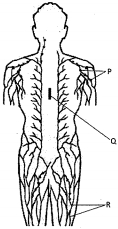 Question diagram