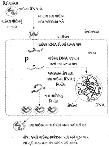 Question diagram