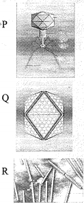 Question diagram