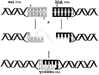 Question diagram