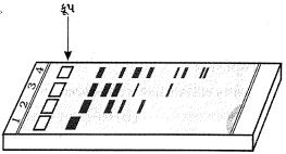 Question diagram