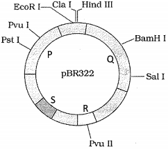 Question diagram