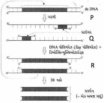 Question diagram