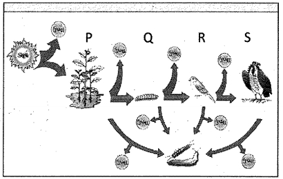 Question diagram