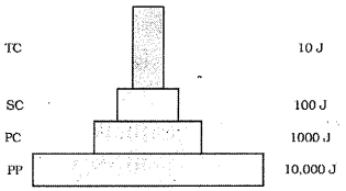 Question diagram