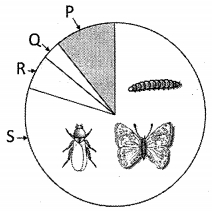 Question diagram