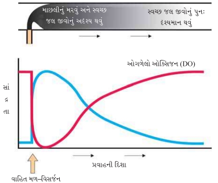Question diagram