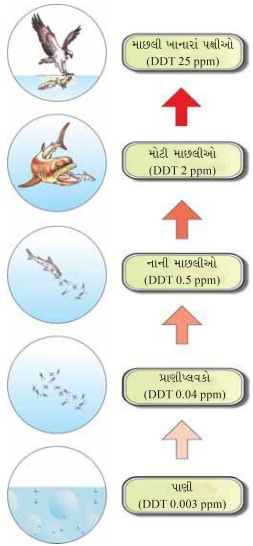 Question diagram