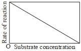 Option B