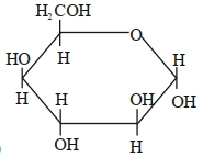 Option C