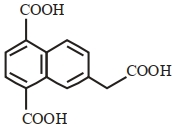 Option B