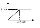 Option C