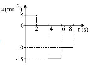 Option D