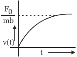 Option D