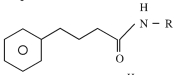 Option C