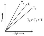 Option C