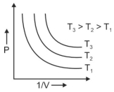Option D