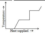 Option C