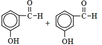 Option C