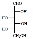 Option B
