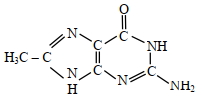 Option C